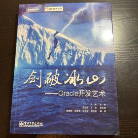 剑破冰山：Oracle开发艺术