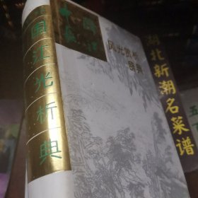 中国长江风光赏析辞典