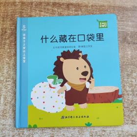 什么藏在口袋里