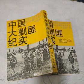 中国大剿匪纪实