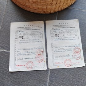 1970年代湖南衡南县全民所有制企、事业单位和国家机关部分职工工资调整审批表一份（栗江商业服务站彭发树）2张，同一人。
