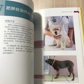 犬猫肥胖症