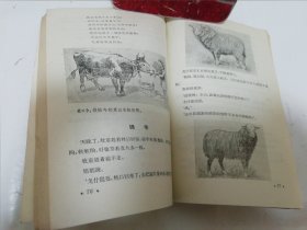 阅读课本‘俄罗斯联邦小学一年级’（彩画封面多插图，索洛弗约娃等合编，丁酉成等译，人民教育出版社1954年1版1印）2024.5.9日上