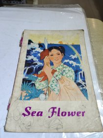 海花，外文，1975年