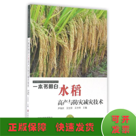 水稻高产与防灾减灾技术