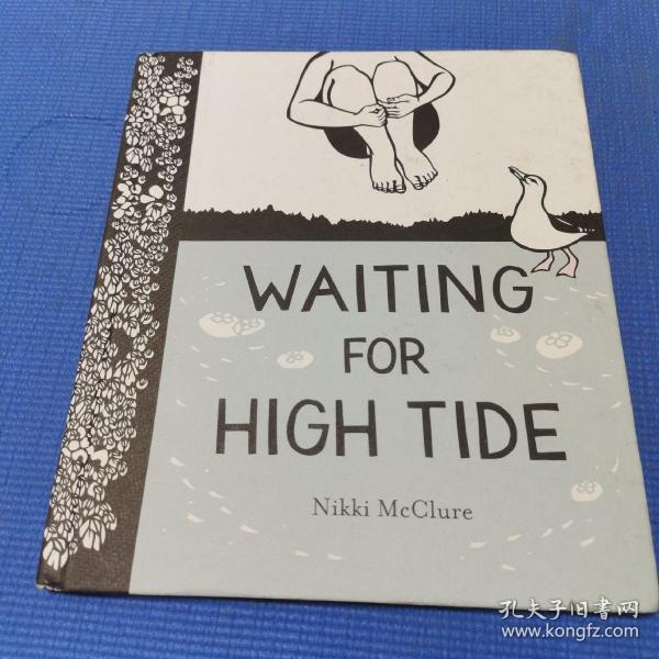 Waiting for High Tide