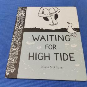 Waiting for High Tide（精装绘本）