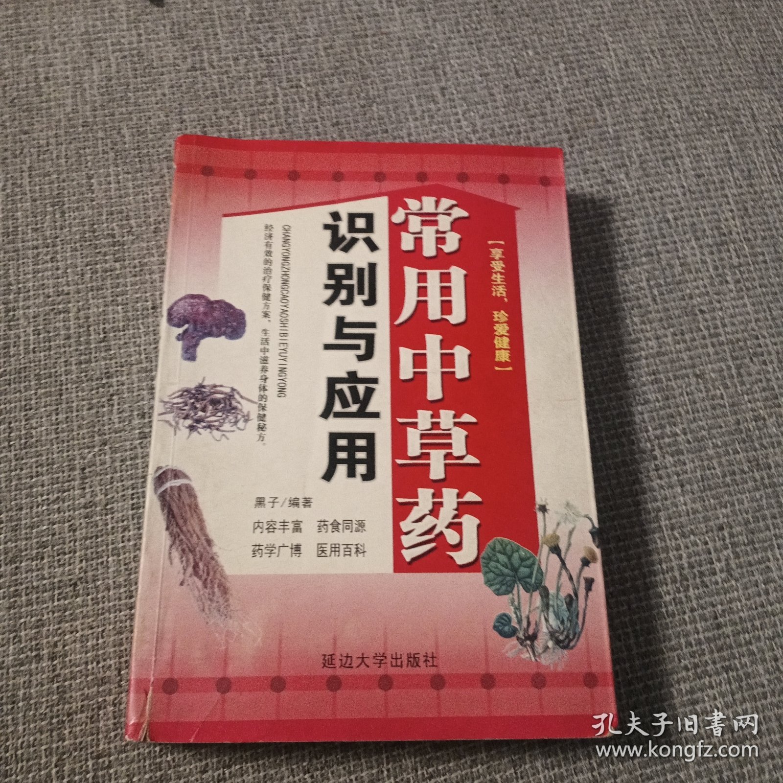 常用中草药识别与应用