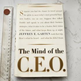 The Mind Of The Ceo 精装