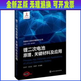 先进化工材料关键技术丛书--锂二次电池原理、关键材料及应用