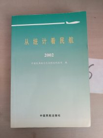 从统计看民航.2002