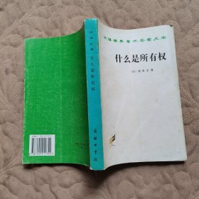 什么是所有权 1963版