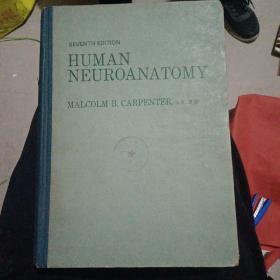 英文版: 人体神经解剖学 HUMAN NEUROANATOMY