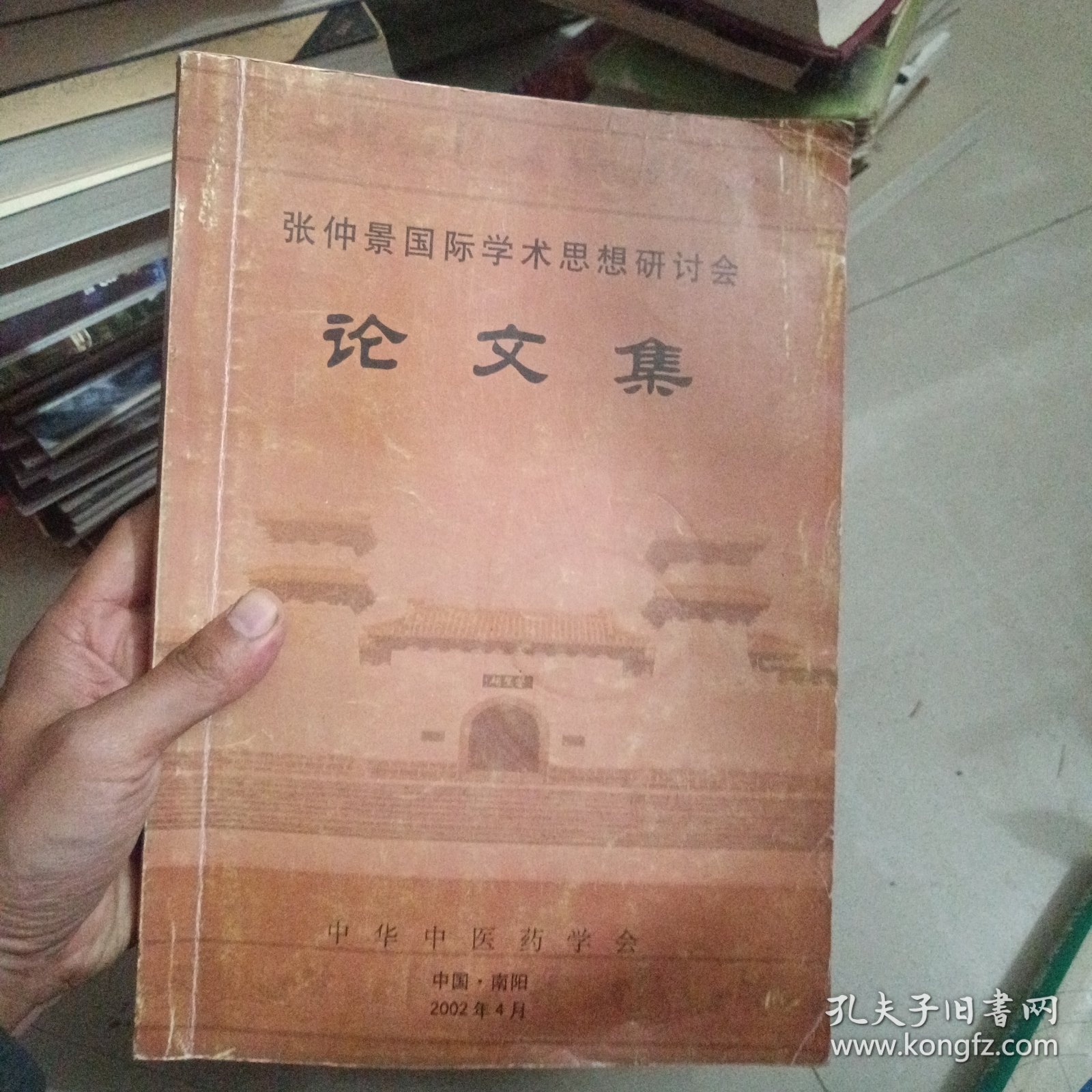张仲景国际学术思想研讨会论文集