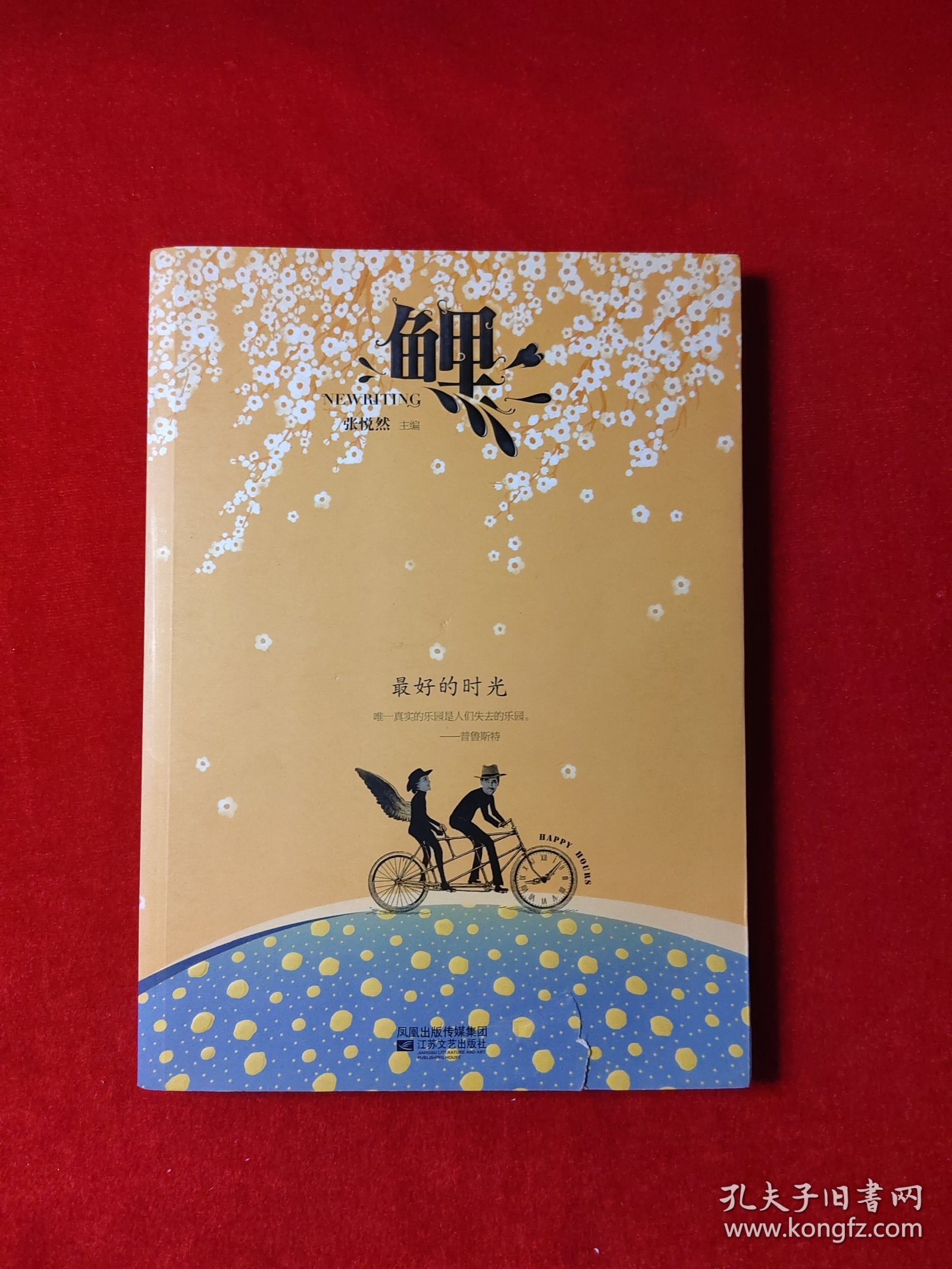 鲤·最好的时光