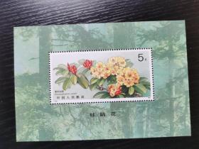 邮票：T.162（杜鹃花 小型张）