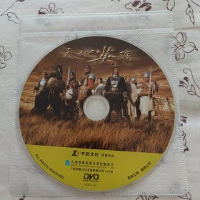 电影DVD简装无盒:天地英雄