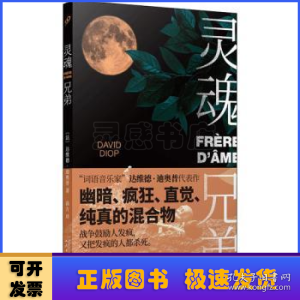 “词语音乐家”达维德·迪奥普代表作：灵魂兄弟（揭示荒谬的真相：战争鼓励人发疯，又把发疯的人都杀死）