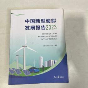 中国新型储能发展报告 . 2023