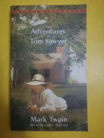 The Adventures of Tom Sawyer汤姆·索亚历险记