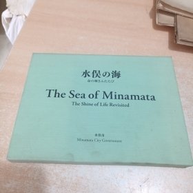 水俣の海：命の辉きふたたび The Sea of Minamata