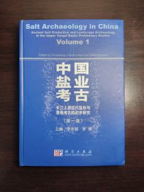 轻微水渍  中国盐业考古（第一集）：长江上游古代盐业与景观考古的初步研究