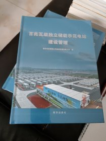 百兆瓦级独立储能示范电站建设管理