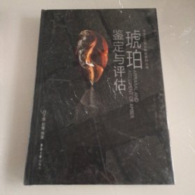 琥珀鉴定与评估