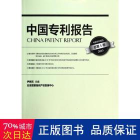 中国专利报告（总第1卷 2013）