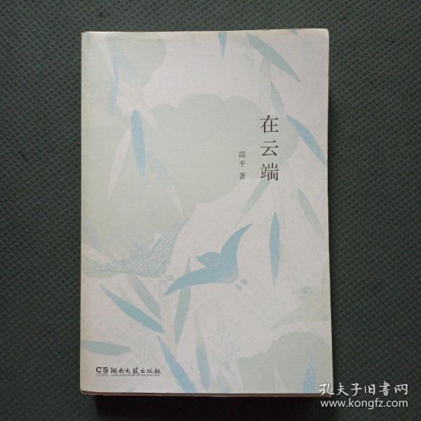 在云端（知名影视剧制片人、儿童文学作家患癌期间的生活故事，有关绝望与坚持，失去与得到）