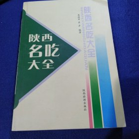 陕西民间艺术大全