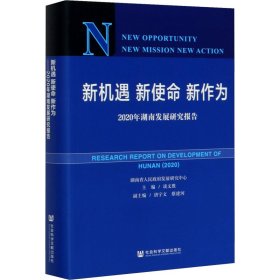 新机遇新使命新作为：2020年湖南发展研究报告