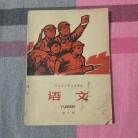 语文  第十册  河北省小学试用课文  1972年