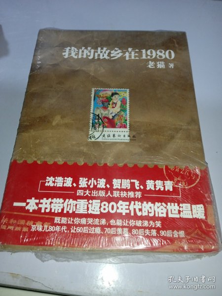 我的故乡在1980：最给力的80年代，最不淡定的怀念