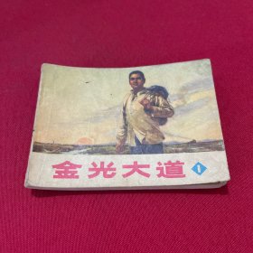 连环画《金光大道》第一集1972年1版1印