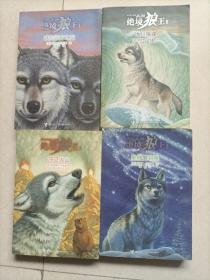 绝境狼王系列（3、4、5、6）4本合售