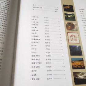 杭鸣时丁薇粉画作品集