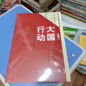 大国行动：中国海军也门撤侨纪实/强军进行时报告文学丛书