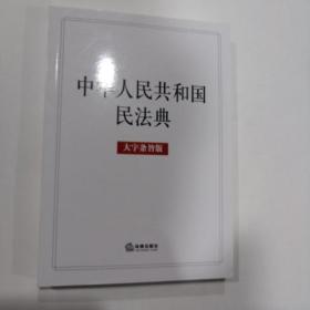 中华人民共和国民法典（大字条旨版）2020年6月