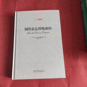 钢铁是怎样炼成的（全译插图版）/经典名著价值阅读