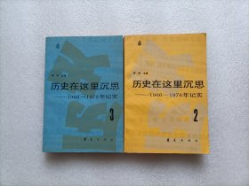 历史在这里沉思  2、3      两本合售