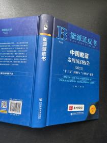 能源蓝皮书：中国能源发展前沿报告（2021）“十三五”回顾与“十四五”展望