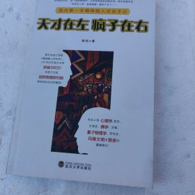 天才在左 疯子在右：国内第一本精神病人访谈手记