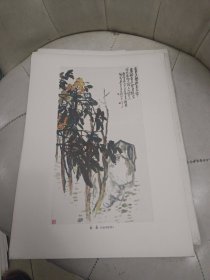 吴昌硕画集（册页12张全）海派大师