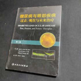 糖尿病与眼部疾病：过去、现在与未来治疗（第2版）