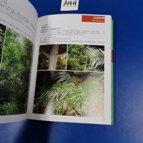 广东森林植物