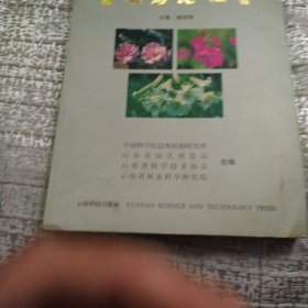 云南名花鉴赏