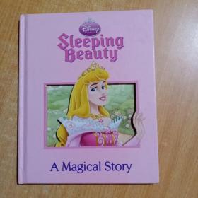 Sleeping Beauty（A Magical Story）