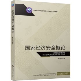 正版 国家经济安全概论 魏浩 机械工业出版社