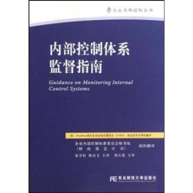 内部控制体系监督指南